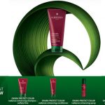 World Of René Furterer